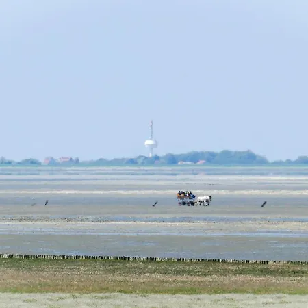 Haus Dünenweg 37 Du03